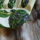 Old Vallauris slipware plate