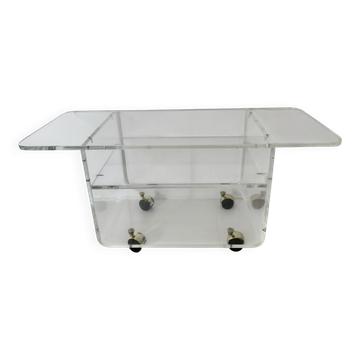 Plexiglass table designed by David Lange for "The Invisibles of the Marsh"