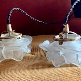 Pair of Art Deco glass rose petals