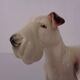 Porcelain Figurine of Fox Terrier, Denmark, 1950s