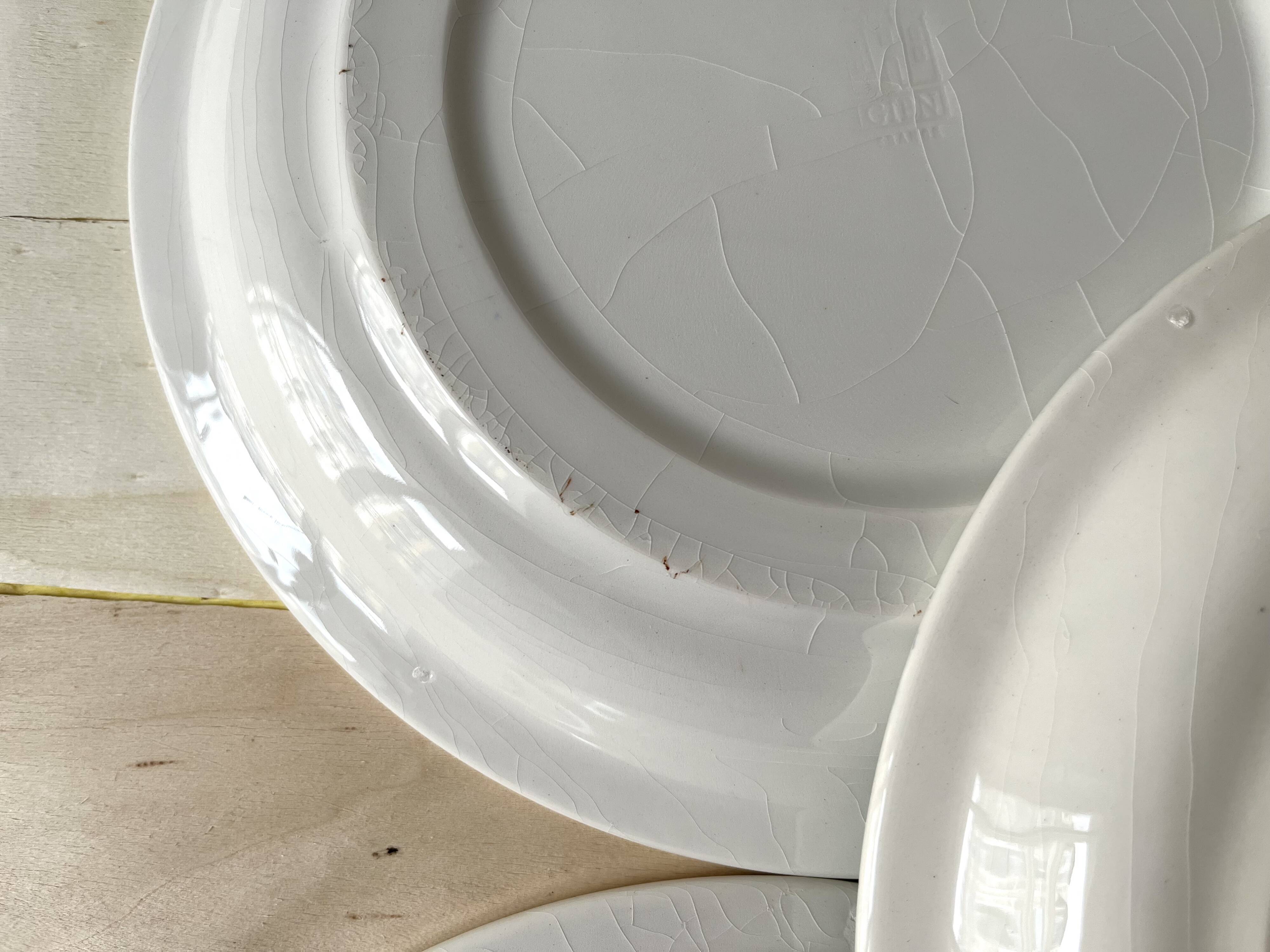 Set of 6 vintage GIEN France fish plates, flat plates with fishing decor