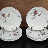 Lot de 6 assiettes à dessert KG Lunéville Service Fleurs des Indes