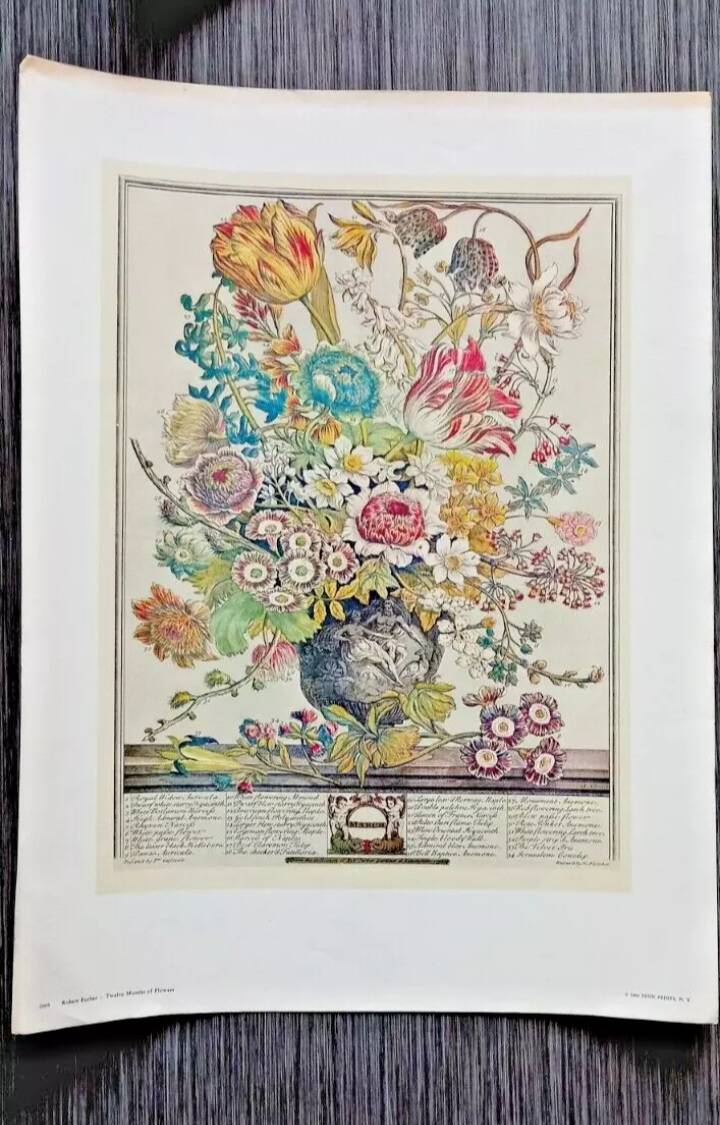 Lot of 19th century Floral Engravings - Vintage Art Print Flowers - 12 months - Robert Furber