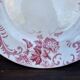 Plate in earthenware from Saint-Amand Snowball