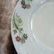 23 assiettes + plat anciens U&C Sarreguemines