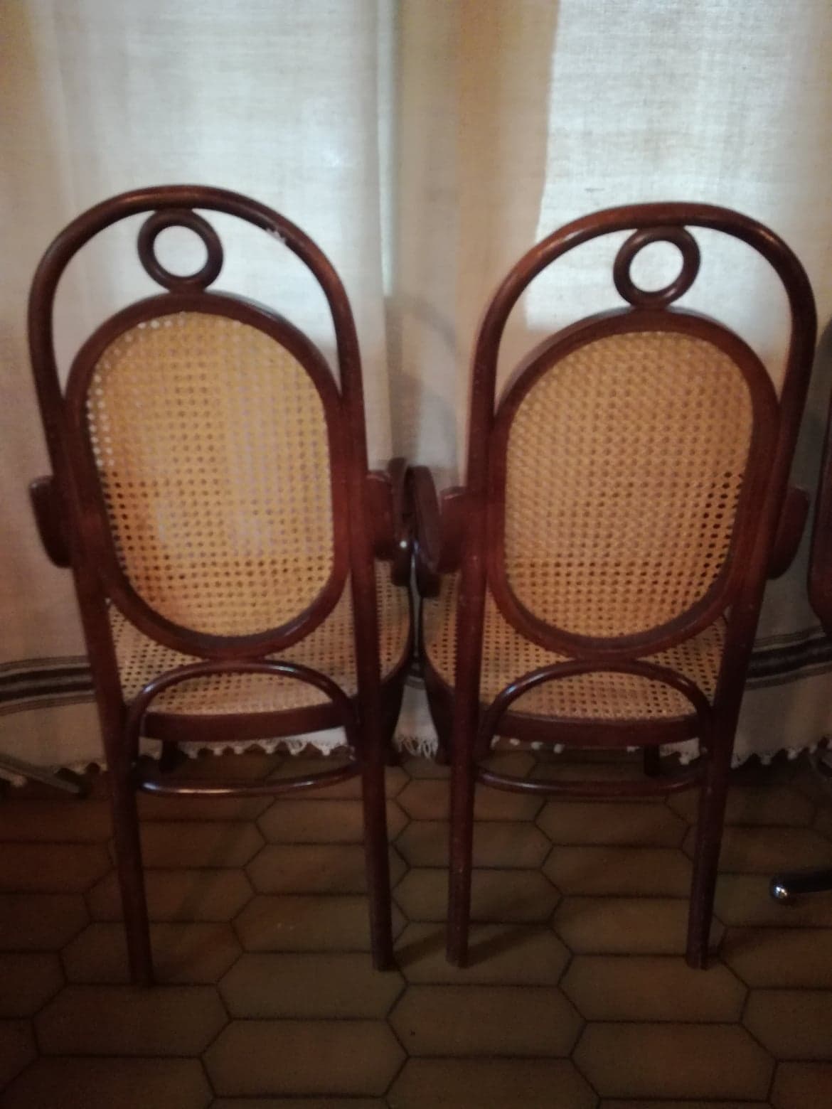 Pair of curved wooden armchairs and caning Thonet N ° 17 or long John 1920