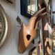 Wooden goat trophy