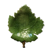 Vide poche feuille barbotine