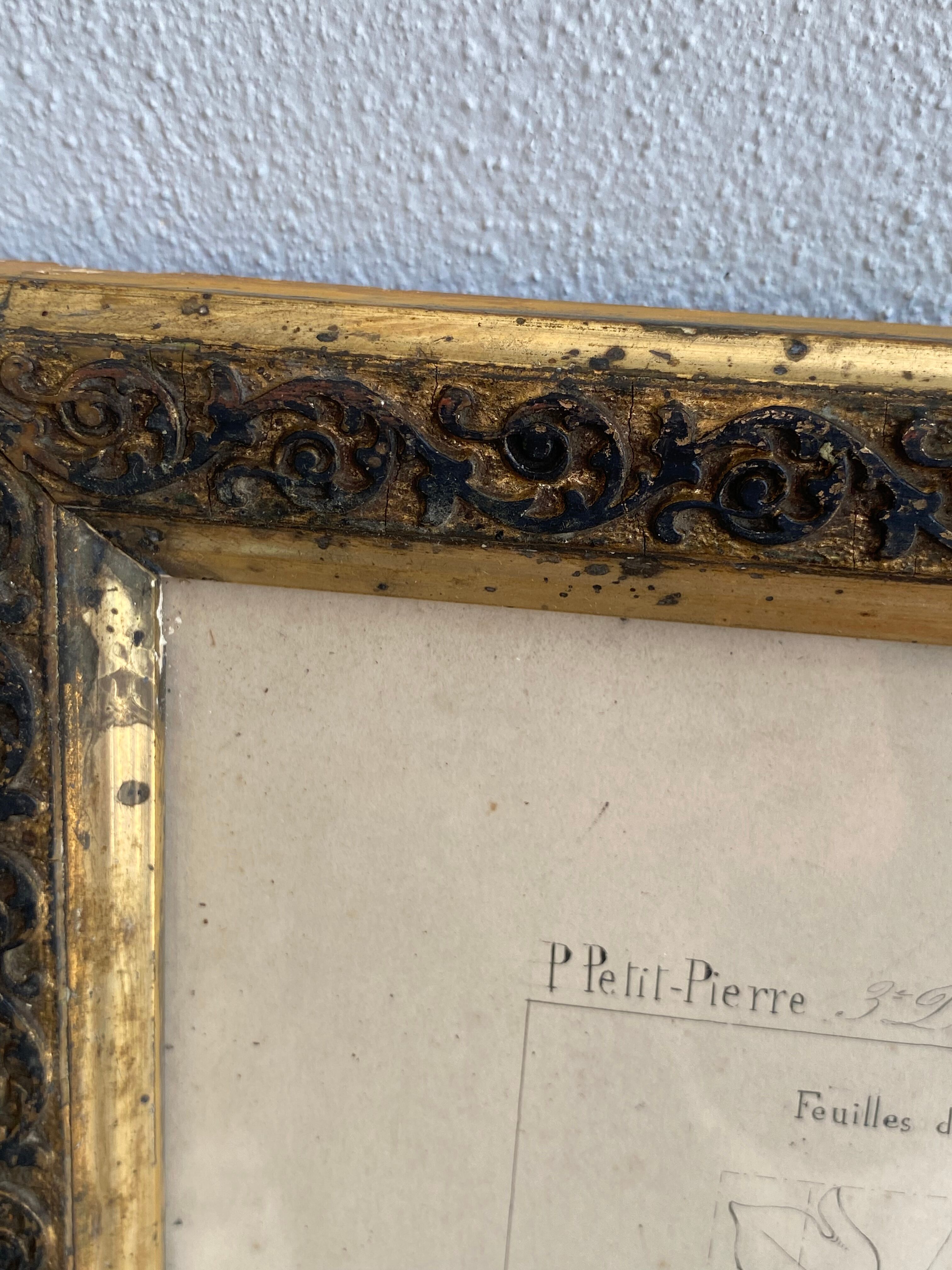 Architectural drawing 1857, glazed wood frame