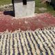 Vintage Moroccan Berber rug with multicoloured stripes – 332 x 244 cm