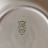 8 flat plates in antique earthenware