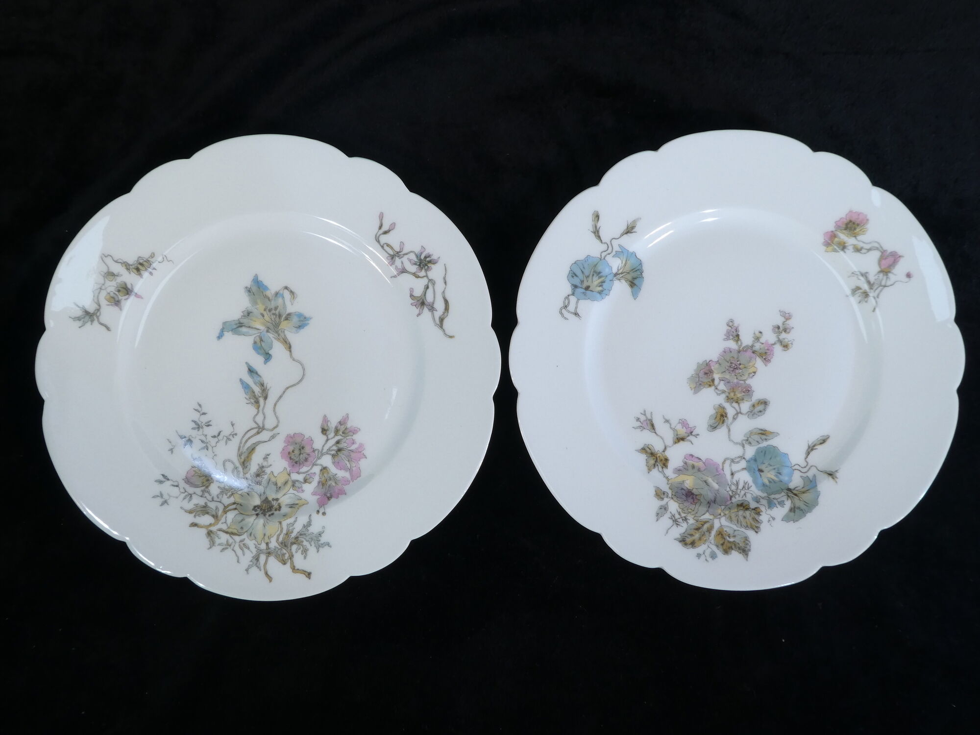 12 Limoges porcelain dinner plates for E.Bourgeois Paris