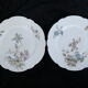 12 Limoges porcelain dinner plates for E.Bourgeois Paris