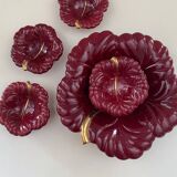 Red cabbage leaf slip service
