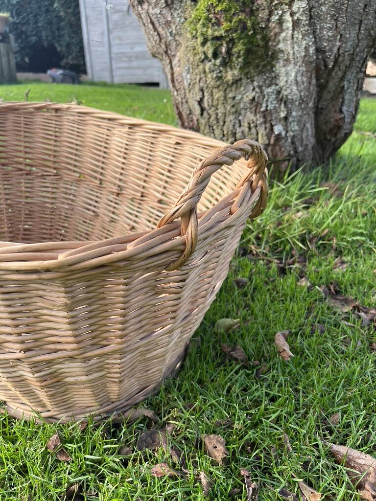 Wicker basket with handles