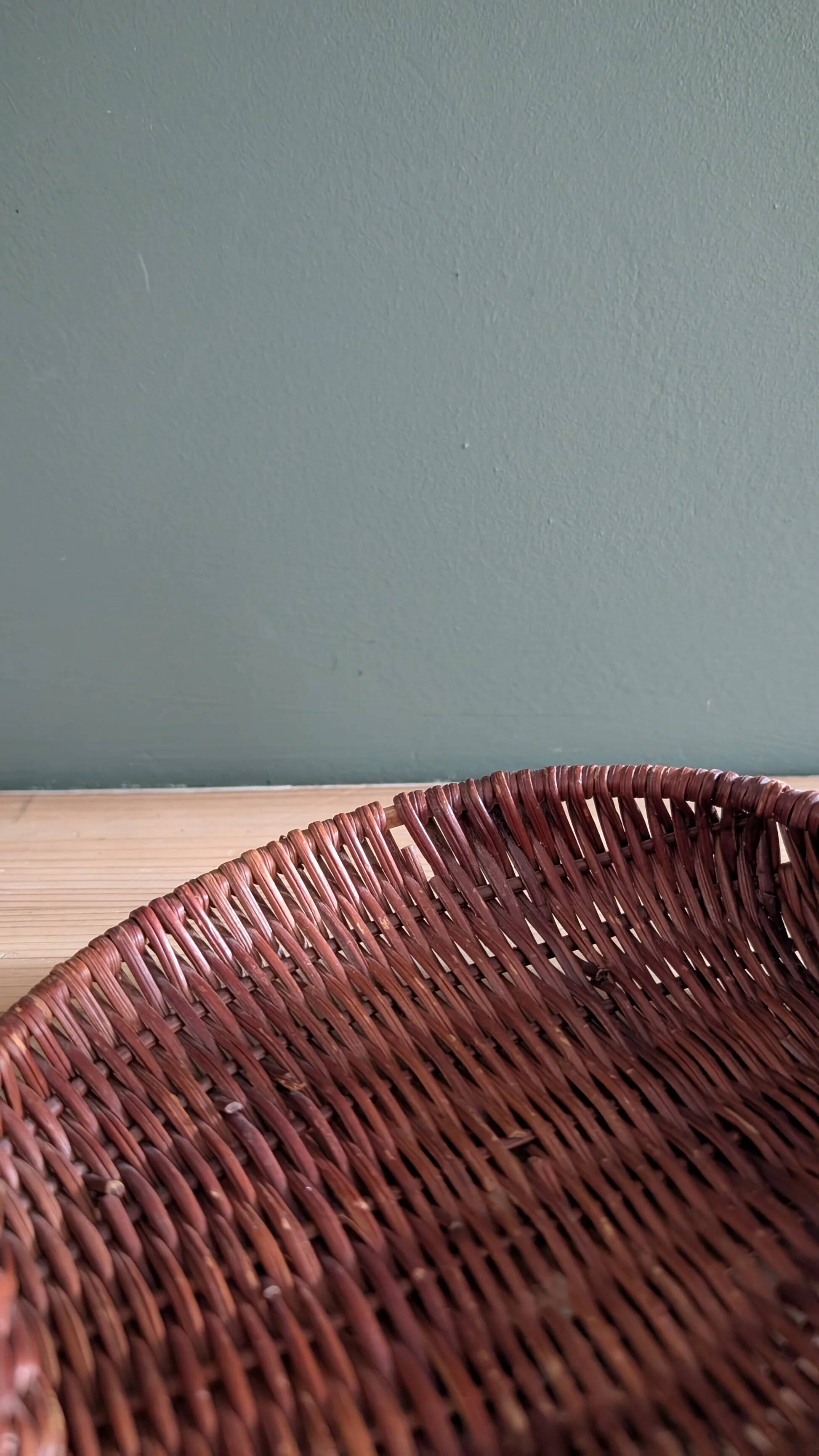 Woven wicker duck catchall