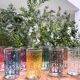 6 multicoloured hand-painted oriental style tea glasses