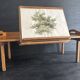 Old watercolour of a tree, botanical study signed, mid-20th century.
