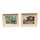 Two old watercolours of nature