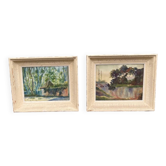 Deux ancienne aquarelles de nature