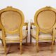 Louis XVI style living room in gilded wood