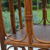 Small rattan bedside table/cabinet