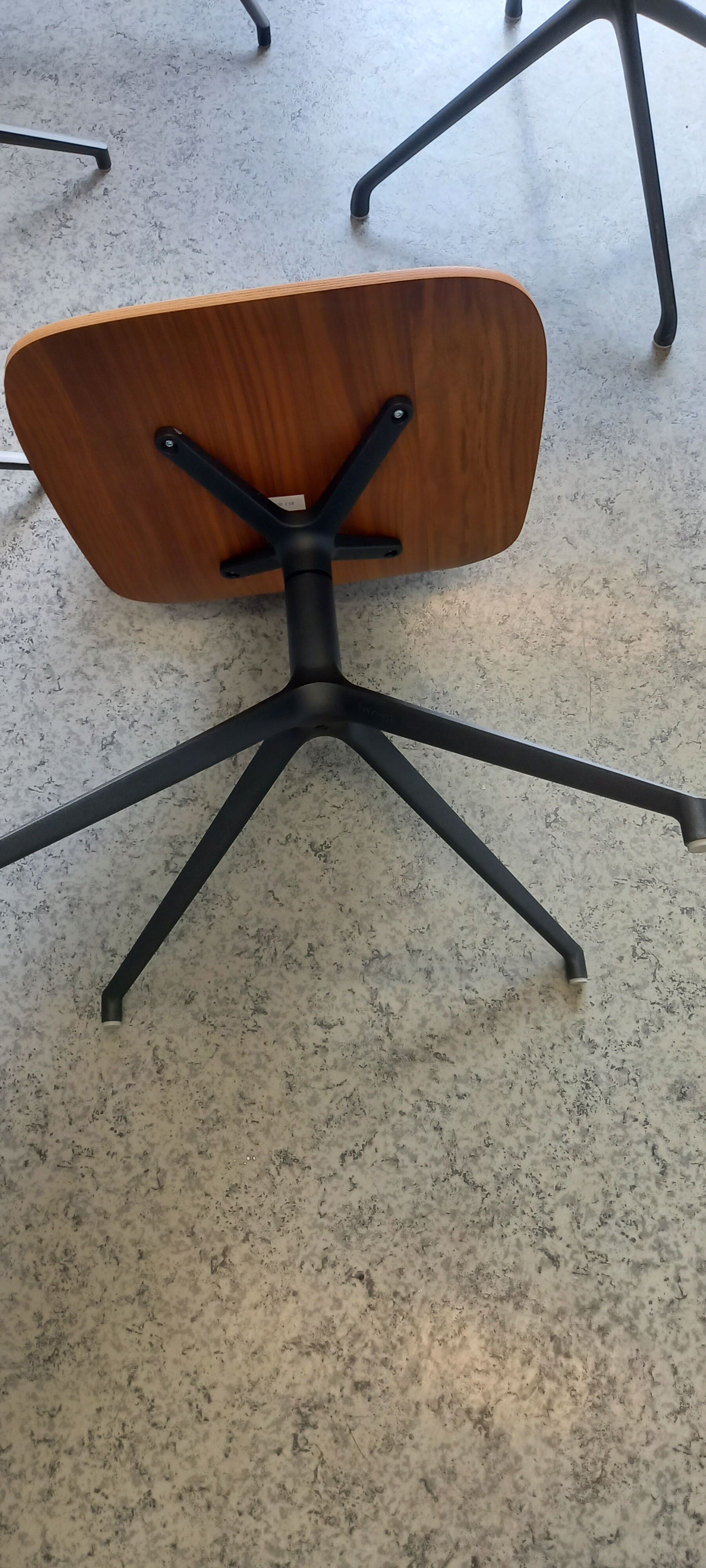 Chair "florence" bo concept