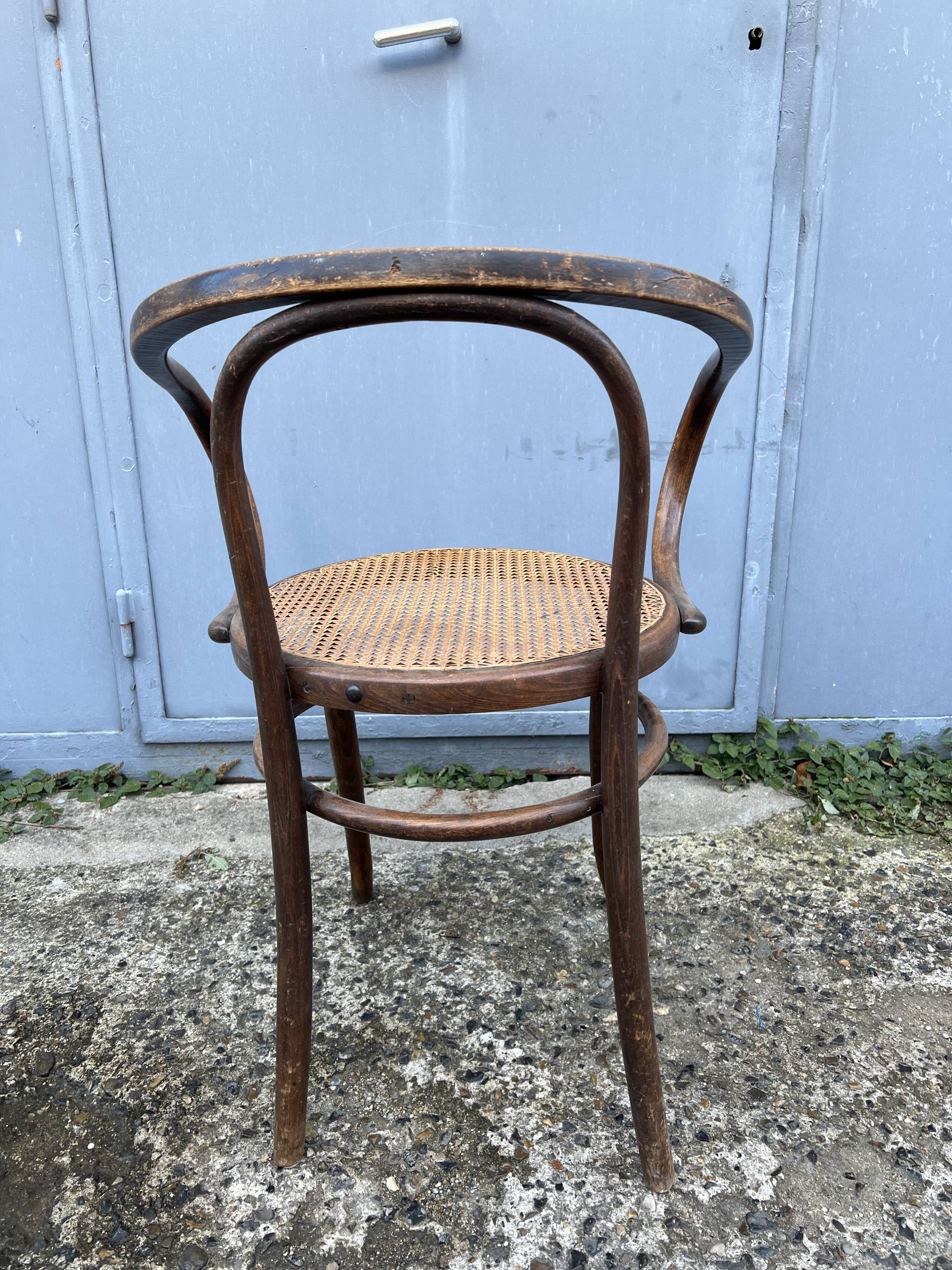 Thonet 209 chair by Mundus