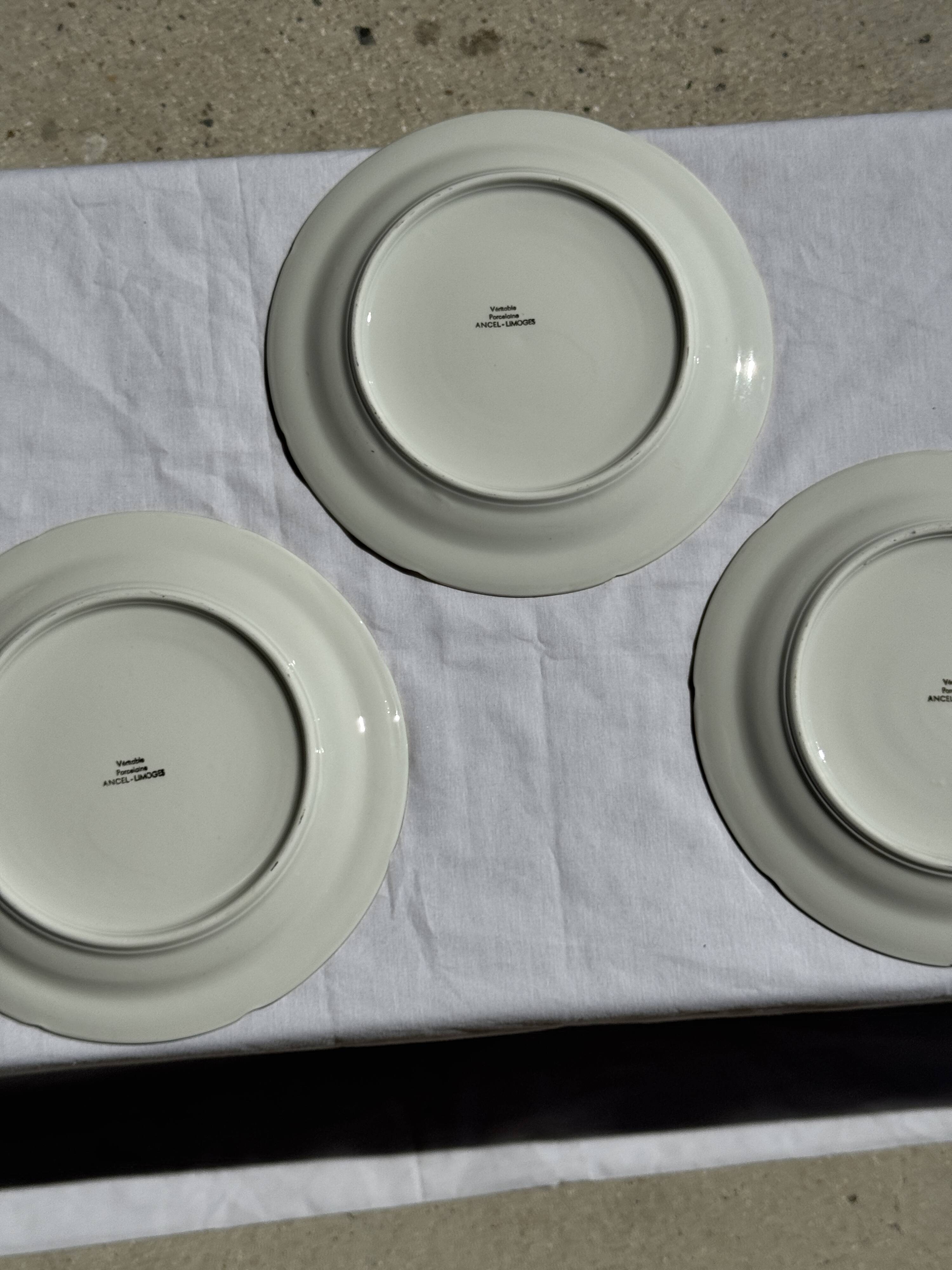 Set of 6 vintage Limoges porcelain plates with fish design.
