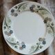 6 antique flat plates U&C Sarreguemines