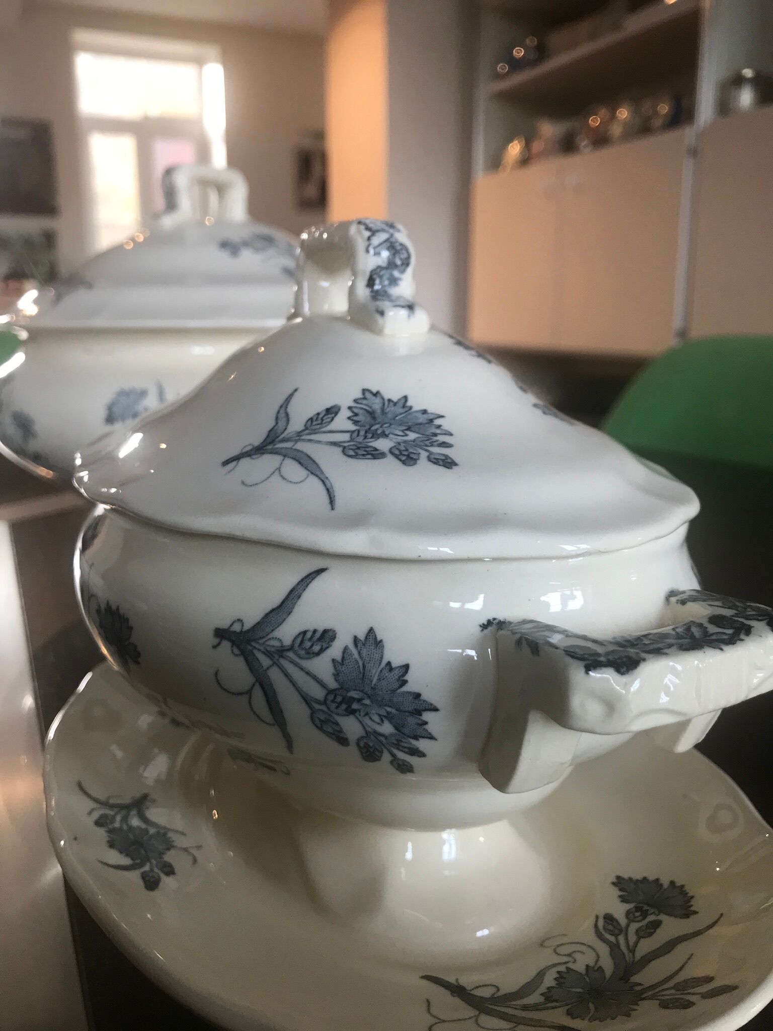 Lot de terre de fer Longchamp modèle Bluets