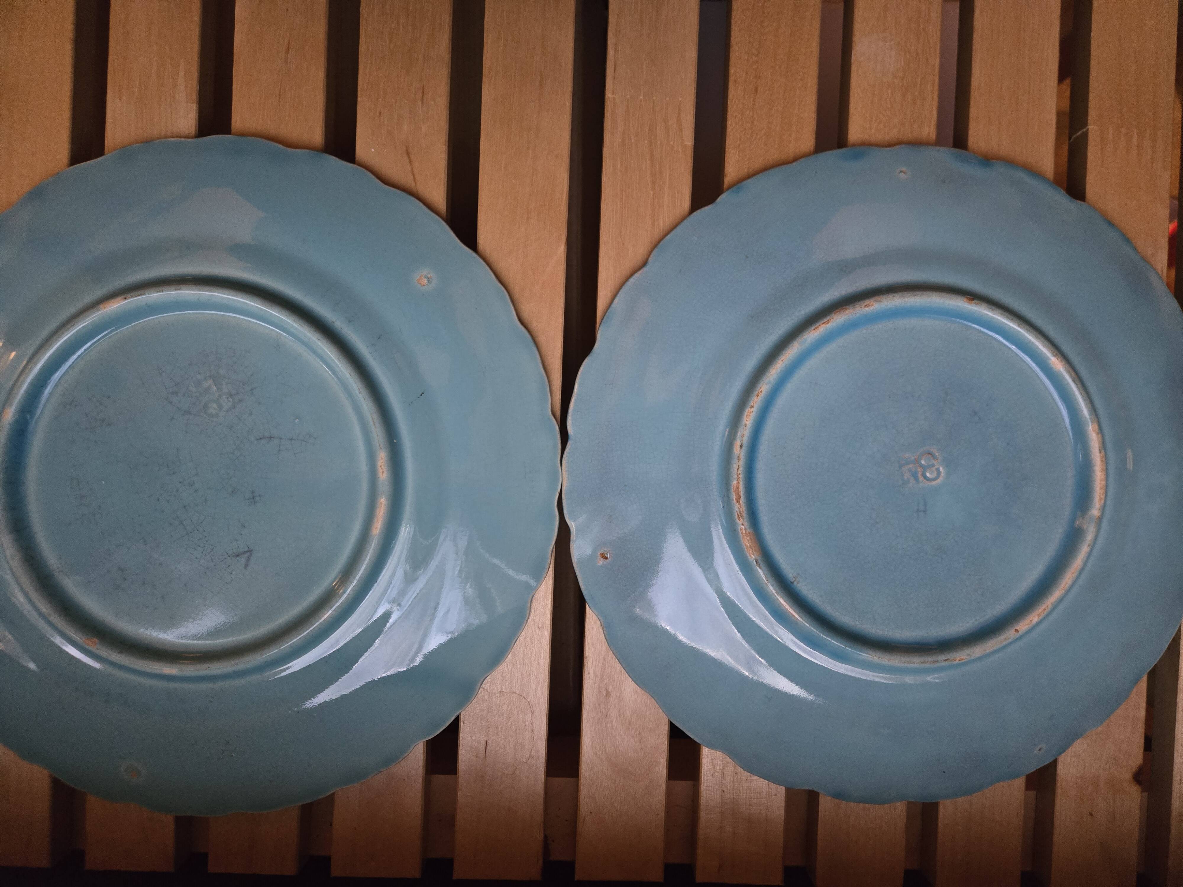 Sarreguemines plates majolica with pink wild roses