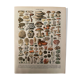 Lithograph mushrooms of the New Larousse Illustrated 1897 (2)