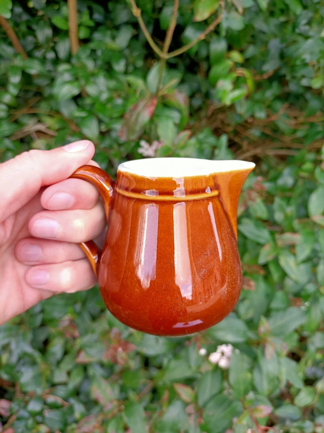 Retro ceramic milk jugs 💐