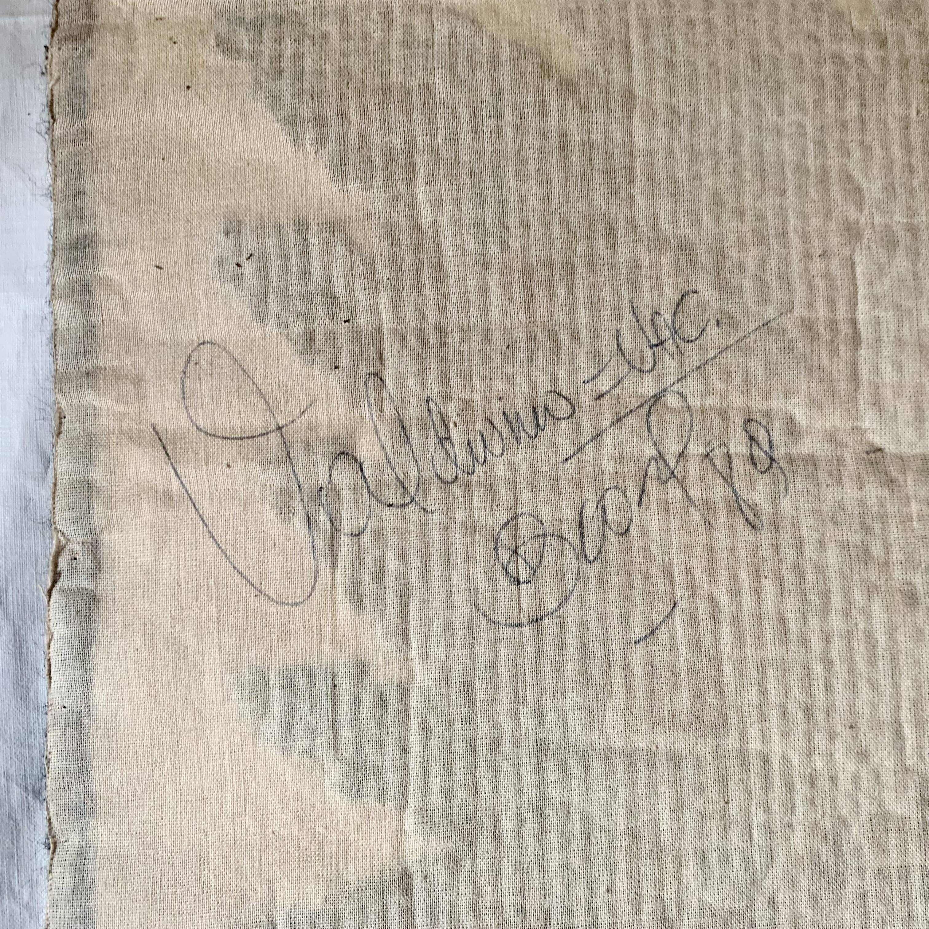 Parrot decor wall rug - Work of the Brazilian artist VAC - 1989