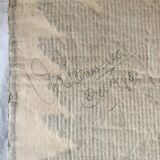 Parrot decor wall rug - Work of the Brazilian artist VAC - 1989