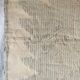 Parrot decor wall rug - Work of the Brazilian artist VAC - 1989