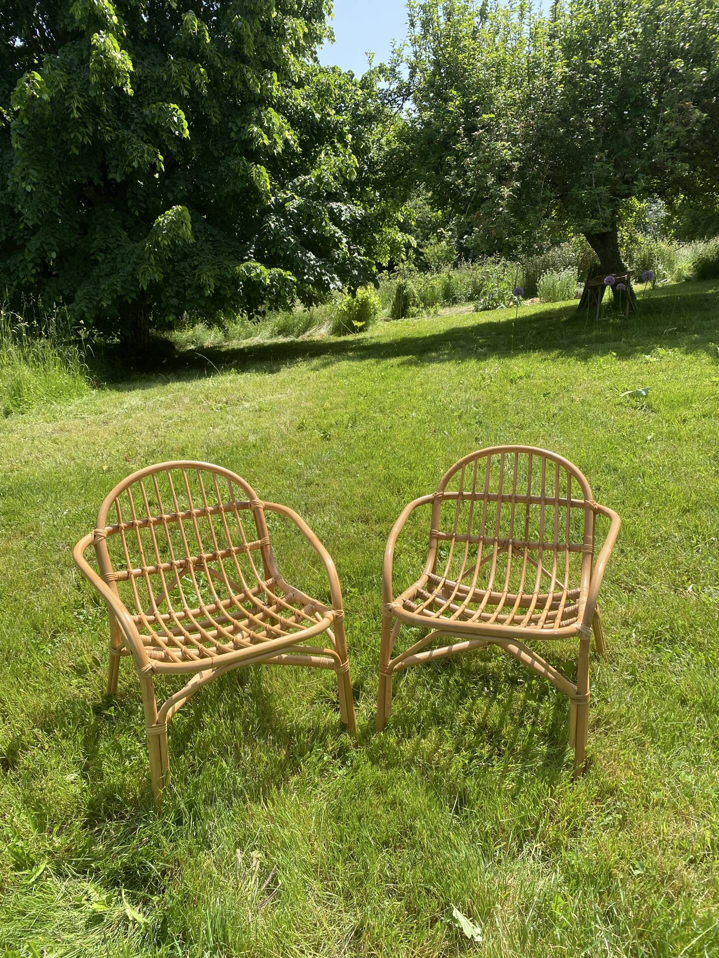 Pair of rattan armchairs