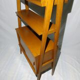 Scandinavian bookcase years 60