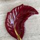Dull leaf Vallauris red burgundy