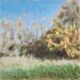 Paysage