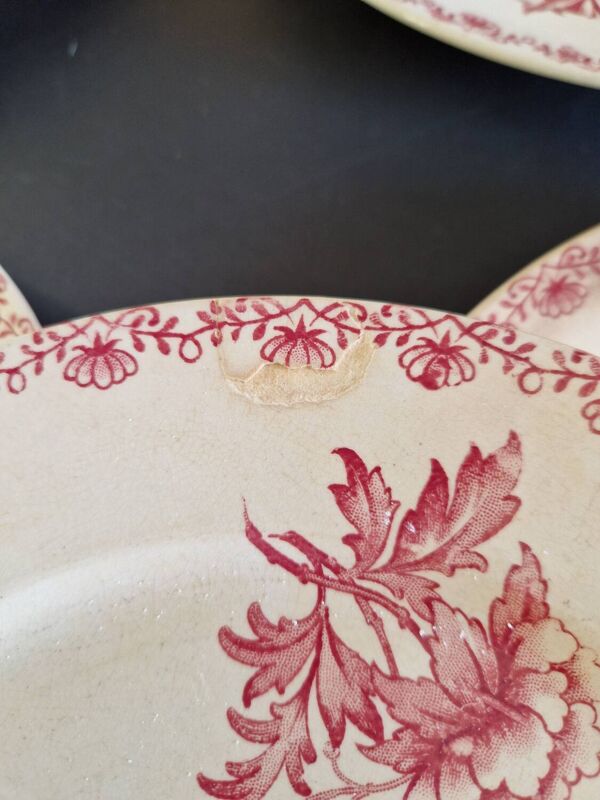 Ensemble de 6 assiettes plates de chez Sarreguemines modele Alma