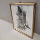 Lithography illustration bird Sitta Caesia vintage engraving golden frame