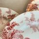 Lot de 5 assiettes Luneville style anglais
