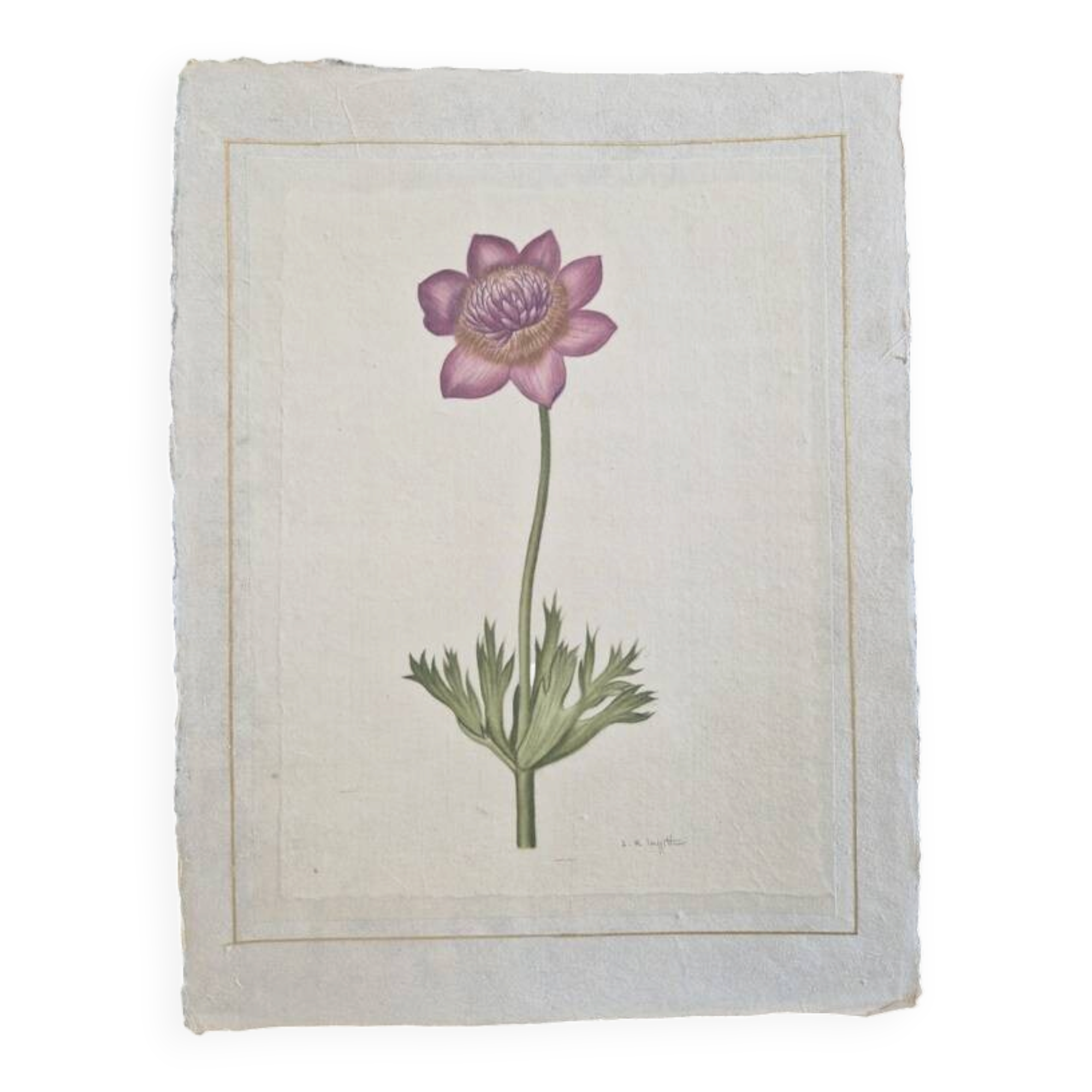 La Roche Laffitte (Born in 1943) - Watercolour drawing on silk - Anemone