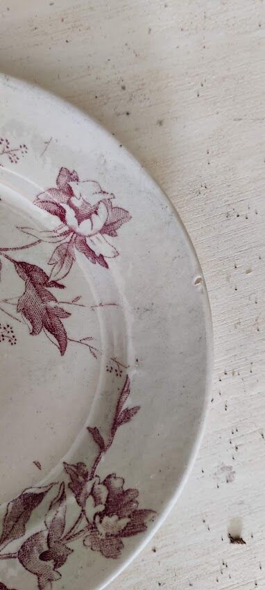 Flat plate iron earth / Christmas rose