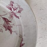 Flat plate iron earth / Christmas rose