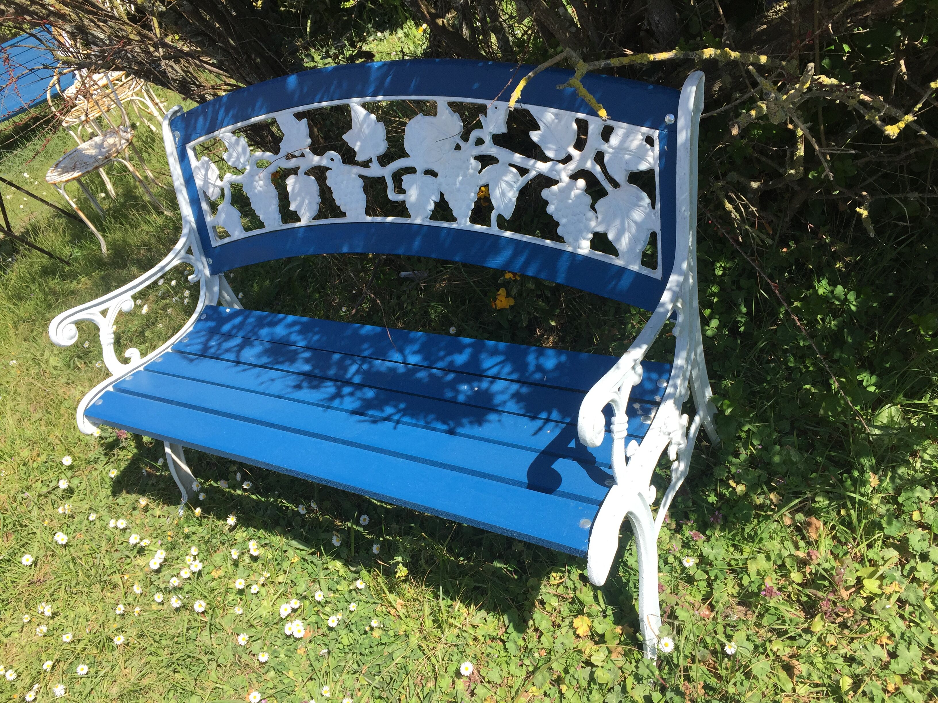 Wood garden bench and iron cast iron. Grape clusters