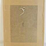 Lithography of Orchidee Board ancient golden frame Deco loft No.2