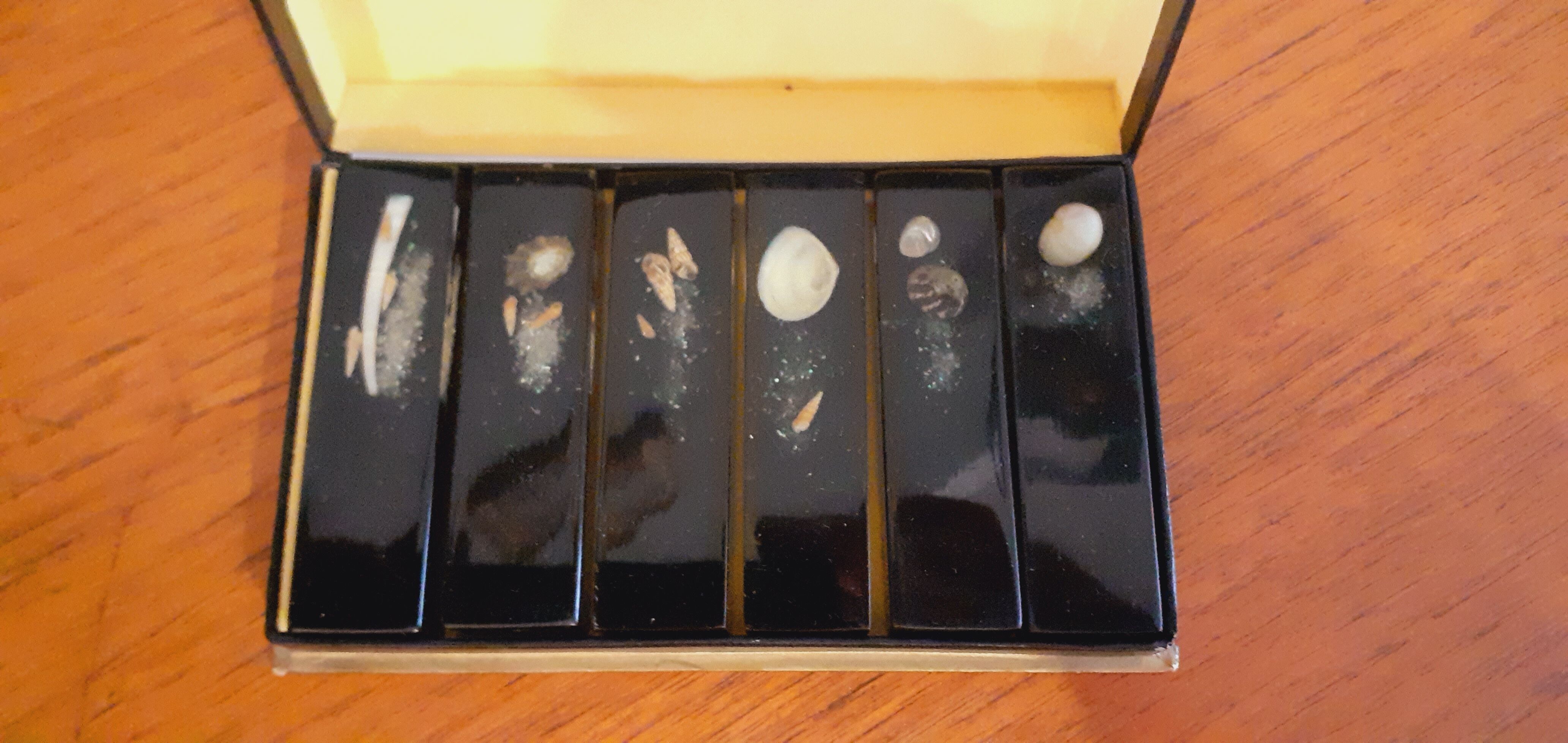 6 vintage resin knife holder with shell inclusion 1960